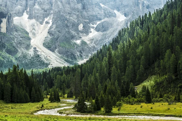 Ліс та річка в долині, dolomiti - Італія Стокова Картинка