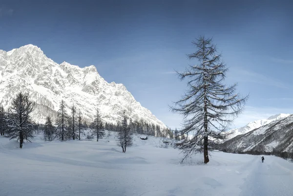Mont blanc, aosta vallley - Olaszország Zdjęcie Stockowe
