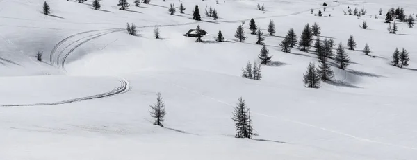 Pralongia, a hó és a fák - Dolomitok, Olaszország — Stock Fotó