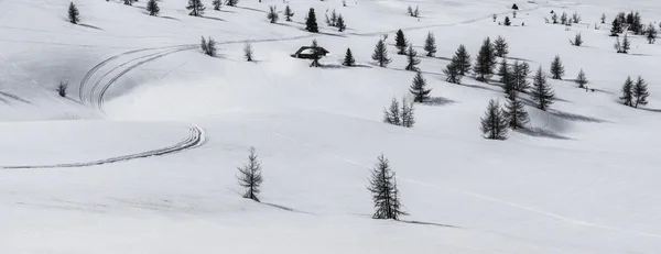 Pralongia, nieve y árboles - Dolomitas, Italia — Foto de Stock