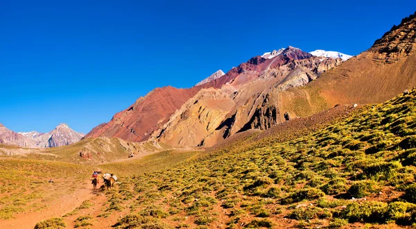 Vale da montanha nos Andes com caminhantes trekking, Argentina, América do Sul — Fotografia de Stock