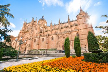 Cathedral of Salamanca, Castilla y Leon region, Spain clipart