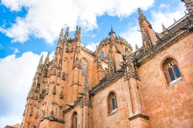 yeni bir katedral Salamanca, İspanya
