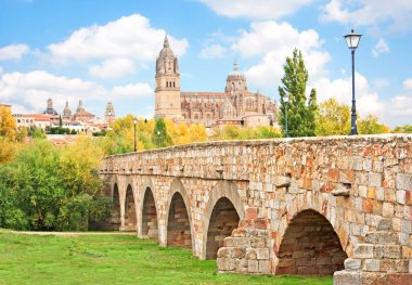 Historic city of Salamanca with New Cathedral and Roman bridge, Castilla y Leon region, Spain clipart