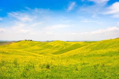güzel Toskana peyzaj alanı çiçekler val d'orcia, İtalya