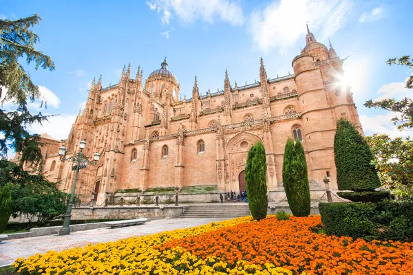 Kathedraal van salamanca, castilla y leon regio, Spanje — Stockfoto