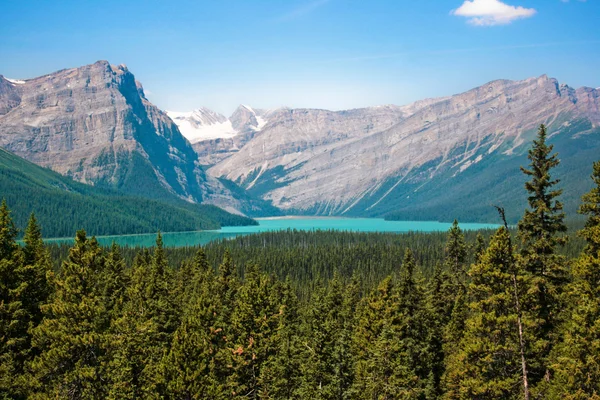 Kanadensiska vildmarken i alberta, Kanada — Stockfoto