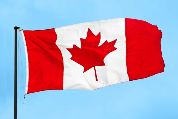 Canadian flag waving in the wind — Stock Photo, Image