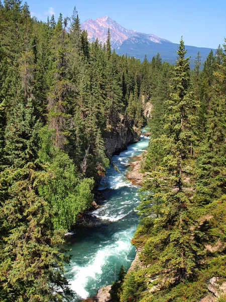 Vackert landskap med klippiga bergen i jasper national park, alberta, Kanada — Stockfoto