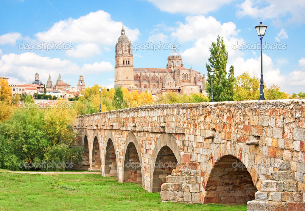 Historic city of Salamanca with New Cathedral and Roman bridge, Castilla y Leon region, Spain