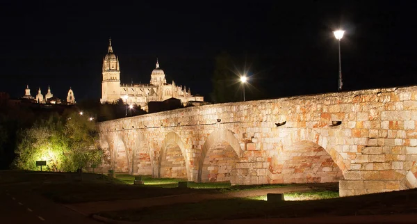Bella vista sulla storica città di Salamanca con Nuova Cattedrale e ponte romano, di notte, regione Castiglia e Leon, Spagna — Foto Stock