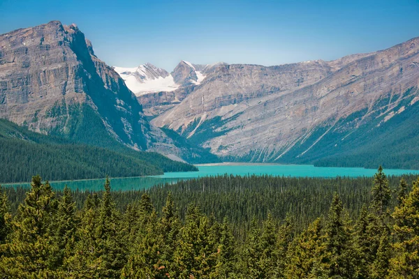 Kanadensiska vildmarken i alberta, Kanada — Stockfoto