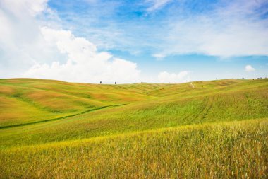 güzel manzara manzara Toskana peyzaj val d'orcia, İtalya