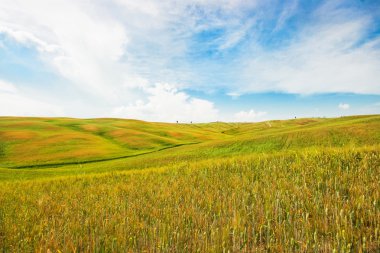 güzel manzara manzara Toskana peyzaj val d'orcia, İtalya