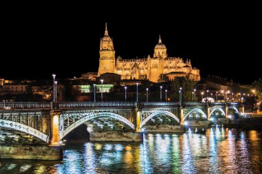 Beautiful view of the historic city of Salamanca with New Cathedral and Enrique Esteban bridge at night, Castilla y Leon region, Spain clipart