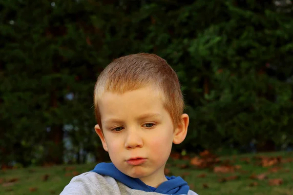 Four Year Old Fair Haired Frustrated Boy Pouting Lips Portrait — Fotografia de Stock