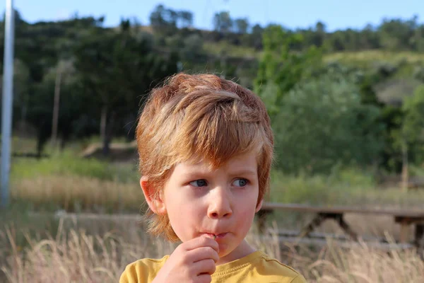 Блондинка Тримає Зелену Гілку Роті Малює Щоках Милий Ятирічний Хлопчик — стокове фото