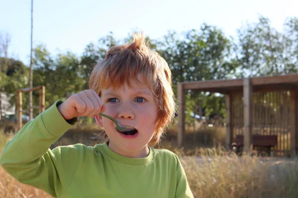 A blond boy with a spoon in his mouth looks away in wonder. A five-year-old boy is eating his lunch outdoors.