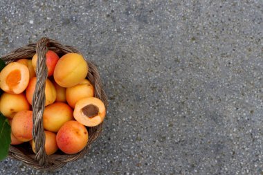 Sepette olgun büyük kayısılar. Üst görünüm. 