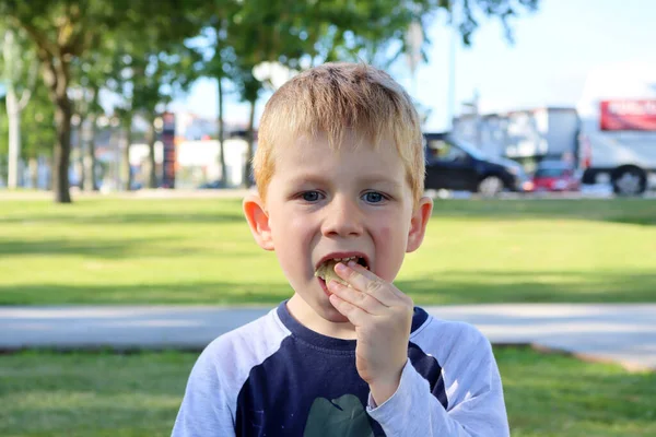 소년은 의입을 살짜리 아이가 정크푸드를 먹습니다 — 스톡 사진