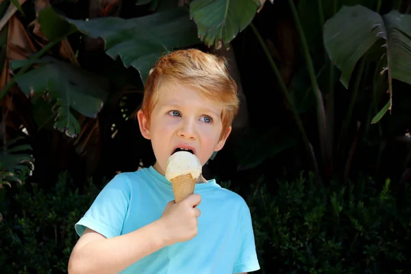 The blond boy is licking the ice cream. A thoughtful five-year-old boy eats sweets against a backdrop of dark green tropical leaves.