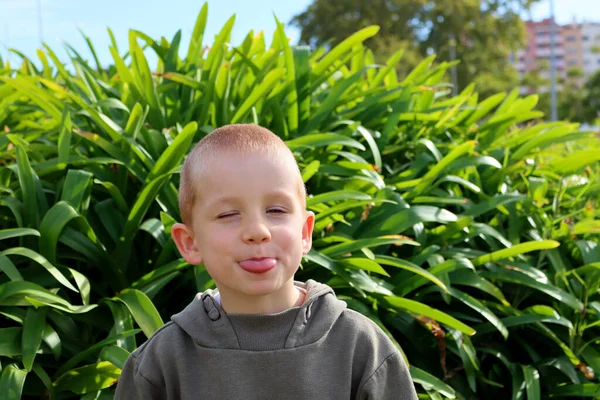 Rubio Pelo Corto Cerró Los Ojos Sacó Lengua Niño Despreocupado —  Fotos de Stock