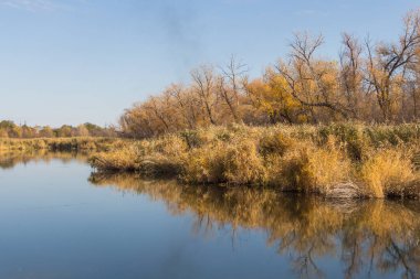 Kazakistan 'ın Uralsk kentindeki transkargo koruluğunun (Staritsa) arkasında duman, şehirde güzel bir sonbahar, göl, sonbahar manzarası