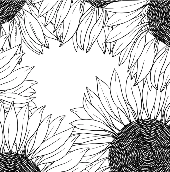 Frame of vector sunflowers — Stock Vector