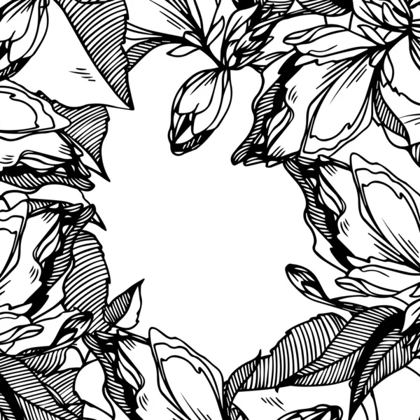 モノクロ黒白いベクトル フレーム抽象的な花と葉 — ストックベクタ
