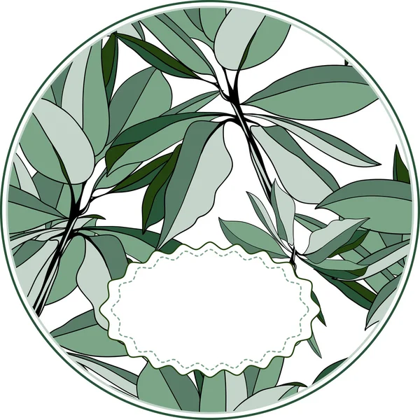 Cadre vectoriel pour félicitations ou carte à partir de feuilles abstraites — Image vectorielle