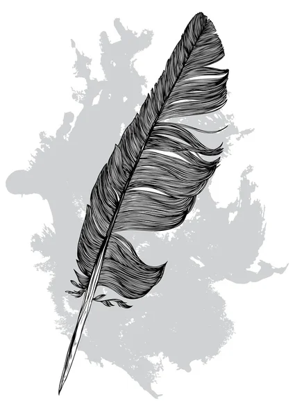 鸟和喷漆-矢量背景的羽毛 — 图库矢量图片