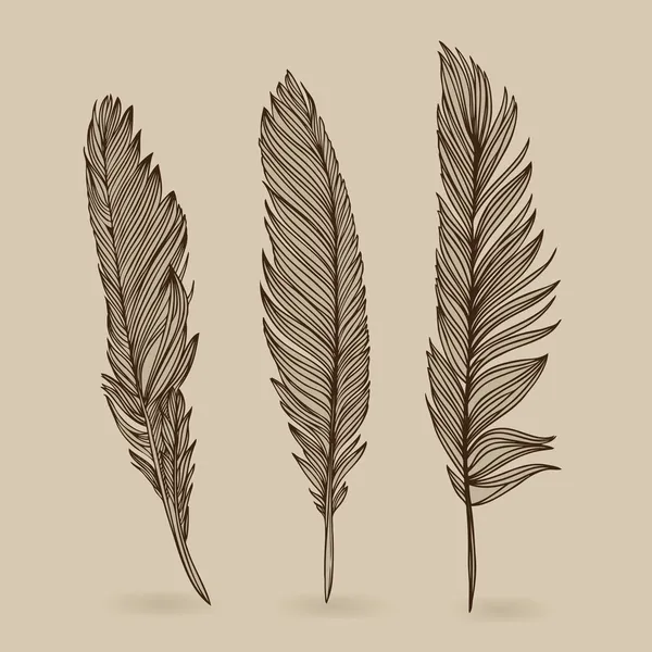 羽毛的鸟-矢量复古怀旧集 — 图库矢量图片