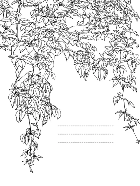 Parede com uvas selvagens encaracoladas - moldura gráfica — Vetor de Stock