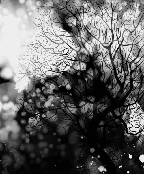 Árvore Nua Noite Escura Inverno Linhas Digitais Imagem Desenhada Mão — Fotografia de Stock