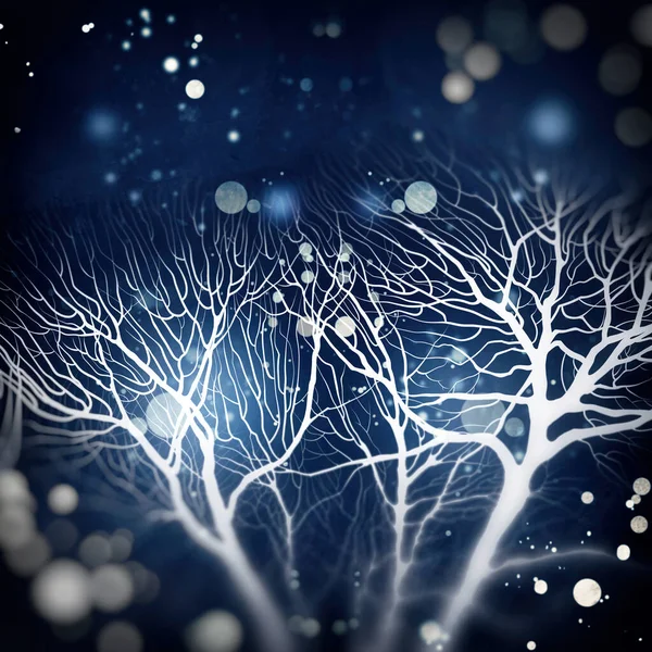 在奇幻的冬天裸树 数字线条手绘水彩画 混合媒体艺术品 — 图库照片