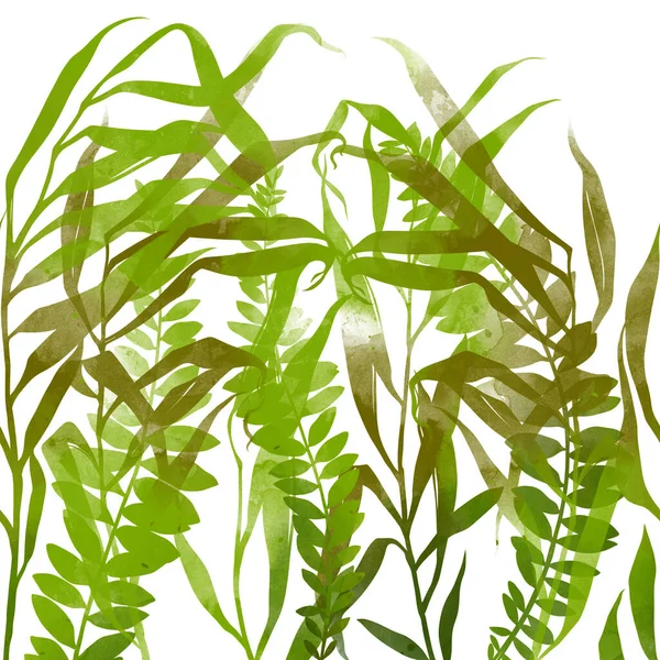 Fantastic Abstract Tropical Leaves Seamless Border Digital Lines Hand Drawn — Stock Photo, Image