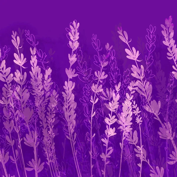 Lavendelfeld Zarte Nahtlose Grenze Digitales Handgezeichnetes Bild Mit Aquarellierter Textur — Stockfoto