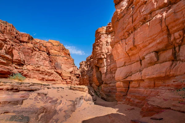 Senai Yarımadası Çölünde Kızıl Kanyon