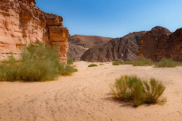 Canhão Vermelho Deserto Península Senai — Fotografia de Stock