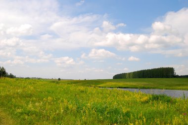 Güzel yaz manzarası