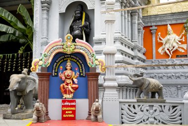 Hindu din temsilcileri
