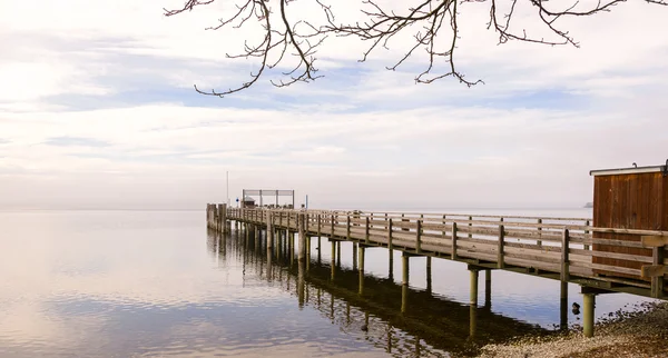 Muelle de madera con aves durante la temporada de invierno —  Fotos de Stock