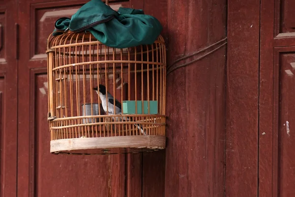 Klatka dla ptaków drewniana pod zielonym suknem okładka. — Zdjęcie stockowe