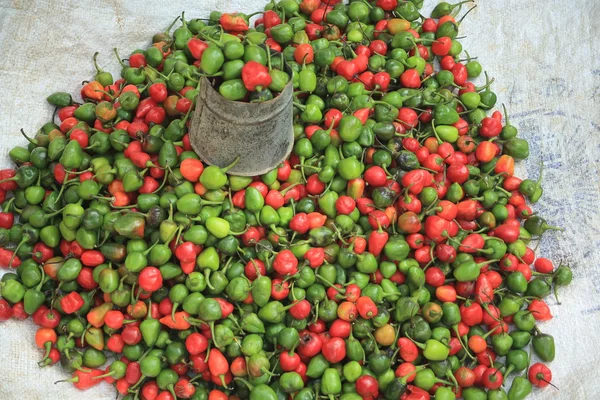 Red ang green peppers on the ground, for sale. — Stock Photo, Image