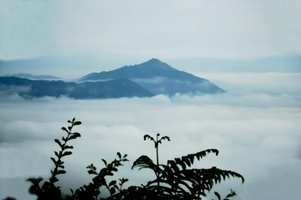 Sea of clouds beneath Bandipur-Nepal. 0406