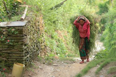 Çim bir paket olan kadın. Bandipur-Nepal. 0455