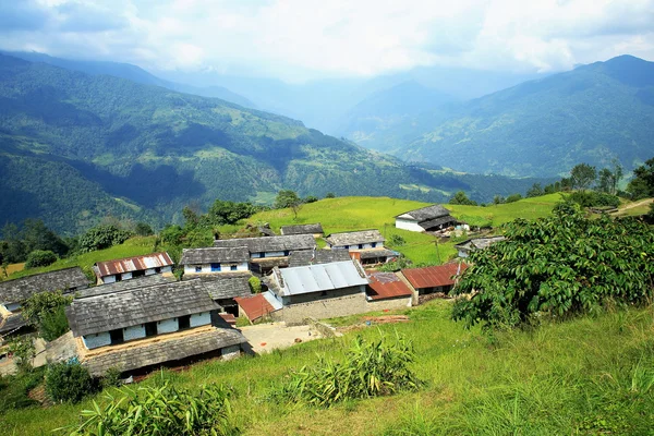 Fattorie del villaggio di Dhampus-Nepal.. 0477 — Foto Stock