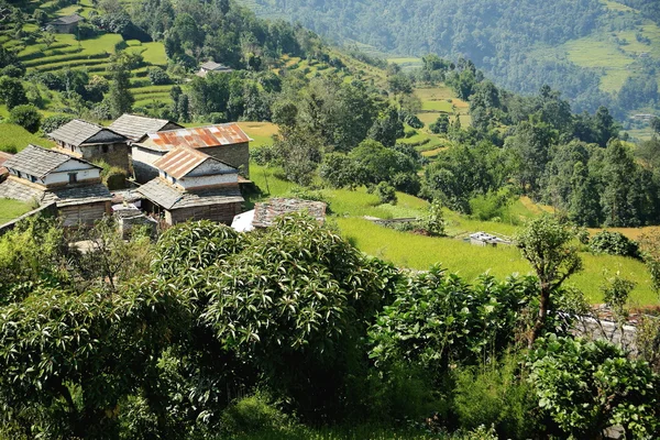 Haciendas de dhampus pueblo-nepal... 0478 — Foto de Stock