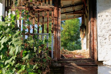 veranda sarmaşık ile. dhampus-nepal. 0490