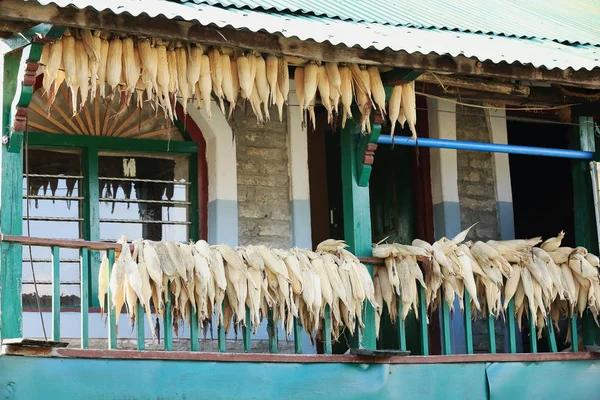 Hängande corncobs. dhampus-nepal. 0484 — Stockfoto